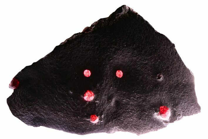 Plate of Six Red Embers Garnets in Graphite - Massachusetts #375780